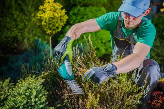 landscaping services Holiday Valley